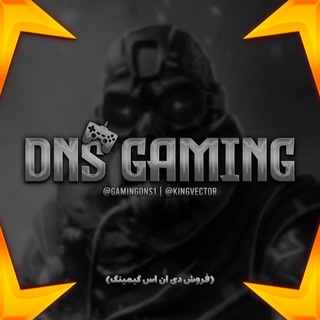 دی ان اس سرور گیمینگ | GAMING DNS