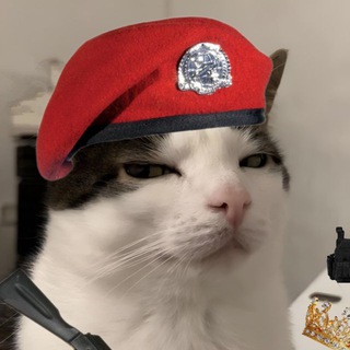 Cảnh Sát Nổi👮🏻‍♂️
