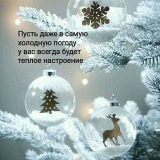 🧸꧁✨BAXT QASRI 🌸✨💔꧂