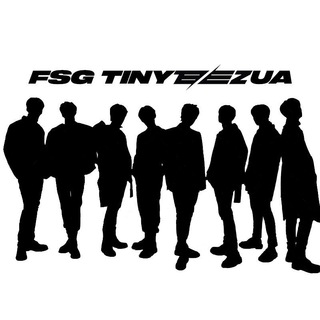 FSG tinyteezua