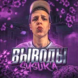 Выводы SYSLIK’a