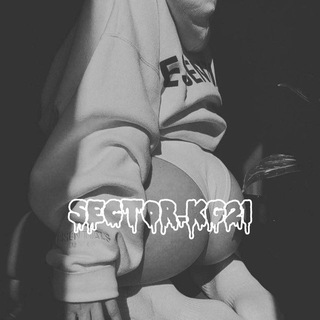 🕸sector_kg🕸