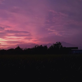 NEZ KEDIRI YT