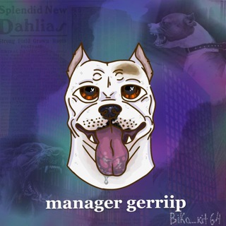 manager gerriip