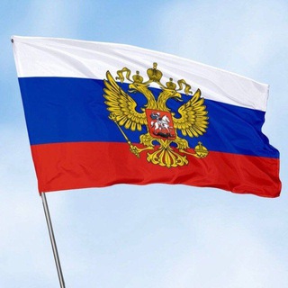 Радар предложка бот
