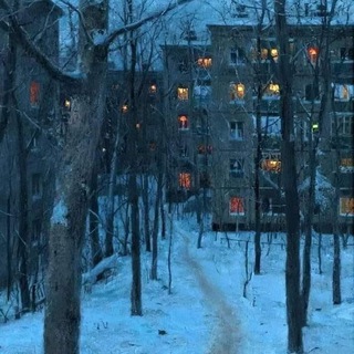 Дарья Фомина