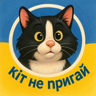 кіт не пригай ➡️