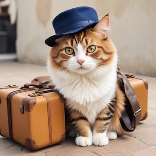 CheckMyTrip Games