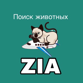 Зоопоиск - потеряшки в аэропорту Жуковский