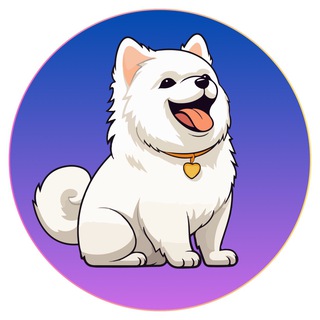 #BDOGE - SEED A 🇻🇳