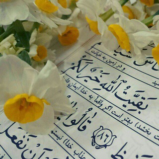 Rajabi