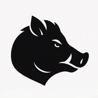 گراز وال استریت