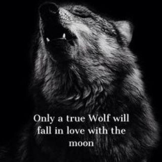 Lone wolf