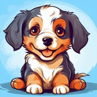 Quốc Đạt 🐾