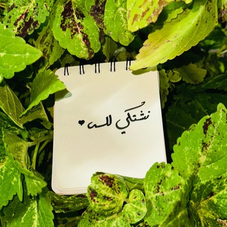 نشتكي لله 🌿🤍"Chat".