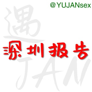 深圳修车大队报告