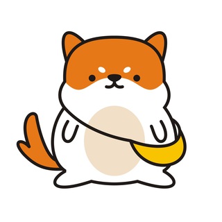 AnonFloki