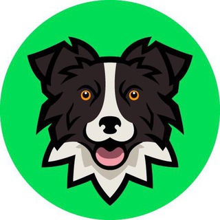 Apollo Crypto Official Token