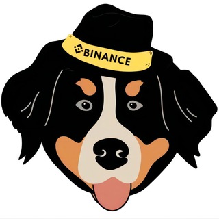 Bernese MountainDog