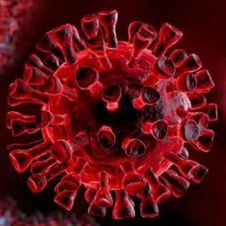 קורונה וירוס קיבוץ חדשות מישראל - coronavirus
