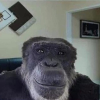 Mr dikci