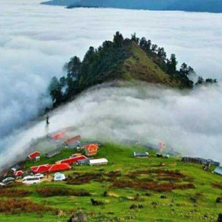 کوهی