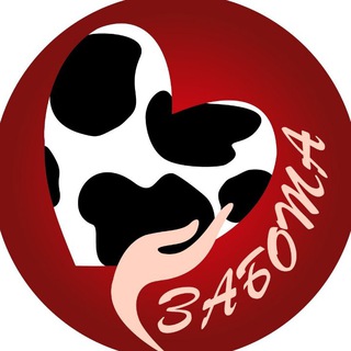 zabota_dv