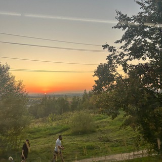 Реклама в дмд любят