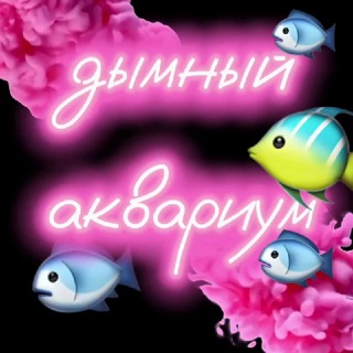 Дымный аквариум 🐠