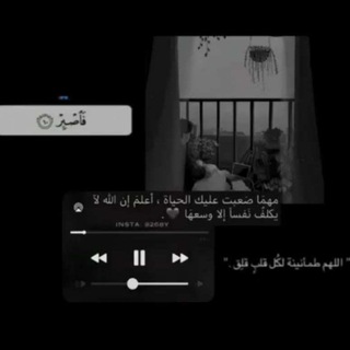 حالات واتساب، فديوهات تيك توك.