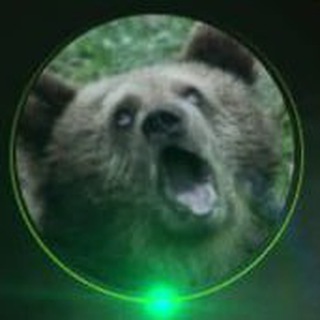 Berloga_promo_bot