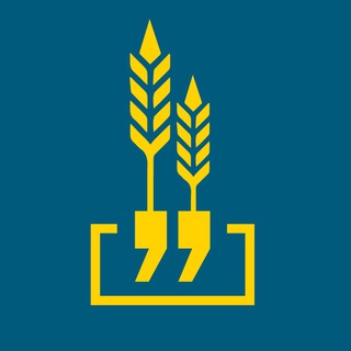Чат | Сеятель Слова