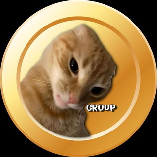CatMeme | Chat🥴