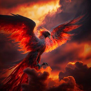 Дмитрий Fenix