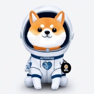 ASTEROID SHIBA-中文社区 🇨🇳