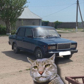 Предложка