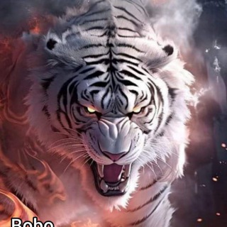 Bobo
