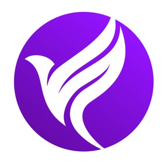 Fly Mir Group