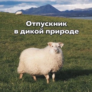Ксюююша