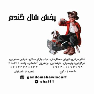 پخش شال گندم
