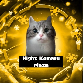 Plaza night Komaru ❄️
