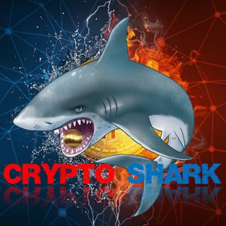 🦈 Crypto Shark 🦈