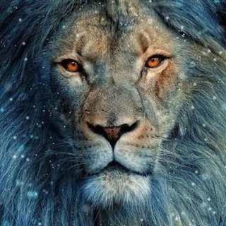 Lion king