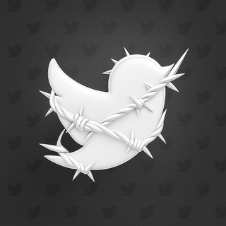 Tweety business.