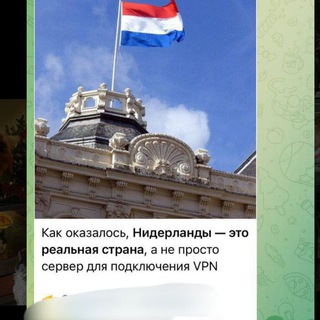 stixi piter