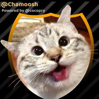 😻 چموش | Cute Cats