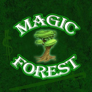 🌳MagicForest官方中文🅥