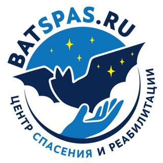 batspas Центр спасения летучих мышей