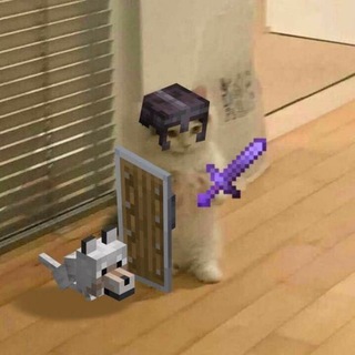 FONY