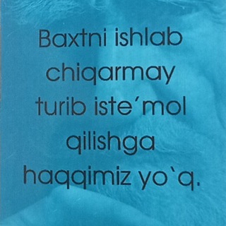 " video blog "